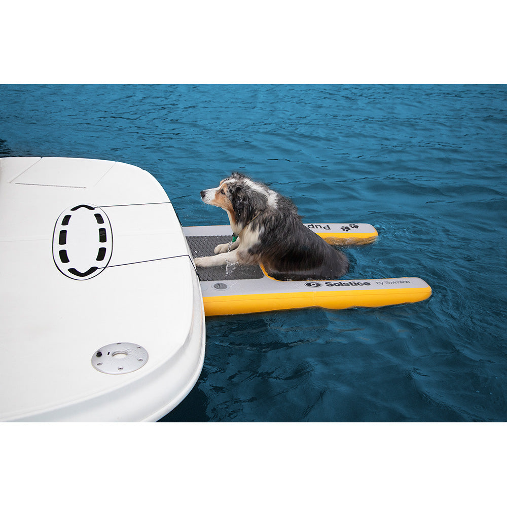 Dog standing on Solstice inflatable pup plank dock attached to the back of a boat on the water.”
