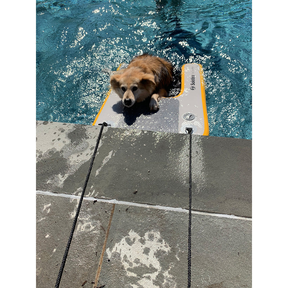 “Golden retriever using Solstice Pup Plank inflatable dog ramp for safe pool exit.”